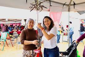 Amplían fecha para la recolecta de árboles de Navidad