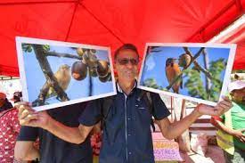 Comelones de ciruela, la exhibición con sentido ambiental