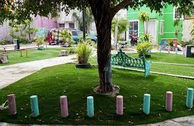 Gobierno municipal del Carmen sustituye pastos naturales por artificiales