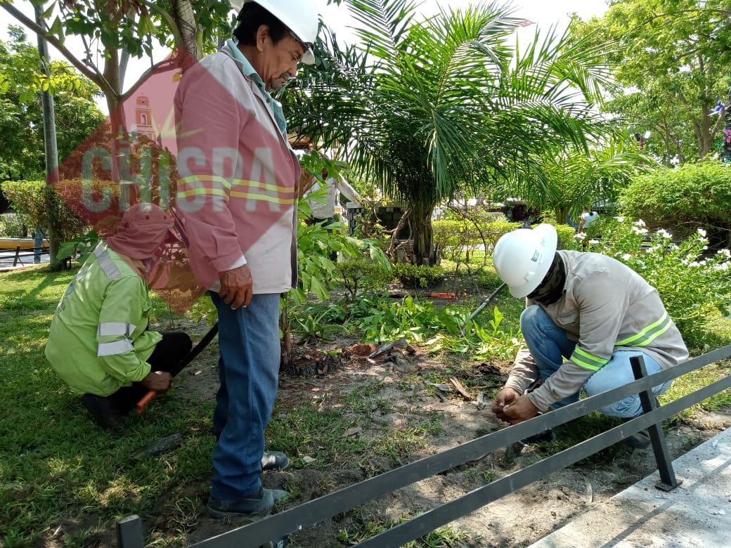 Mantenimiento de alumbrado público y limpieza en la zona de Playa Norte y otros puntos de la Isla