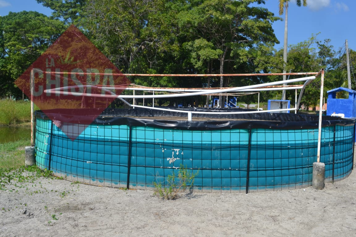 Podrían destinar 20 millones de pesos a cooperativas pesqueras de altura para proyectos acuícolas y de pavos