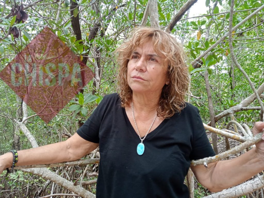 Lourdes Rodríguez Badillo