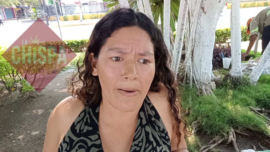 María del Carmen Landero García