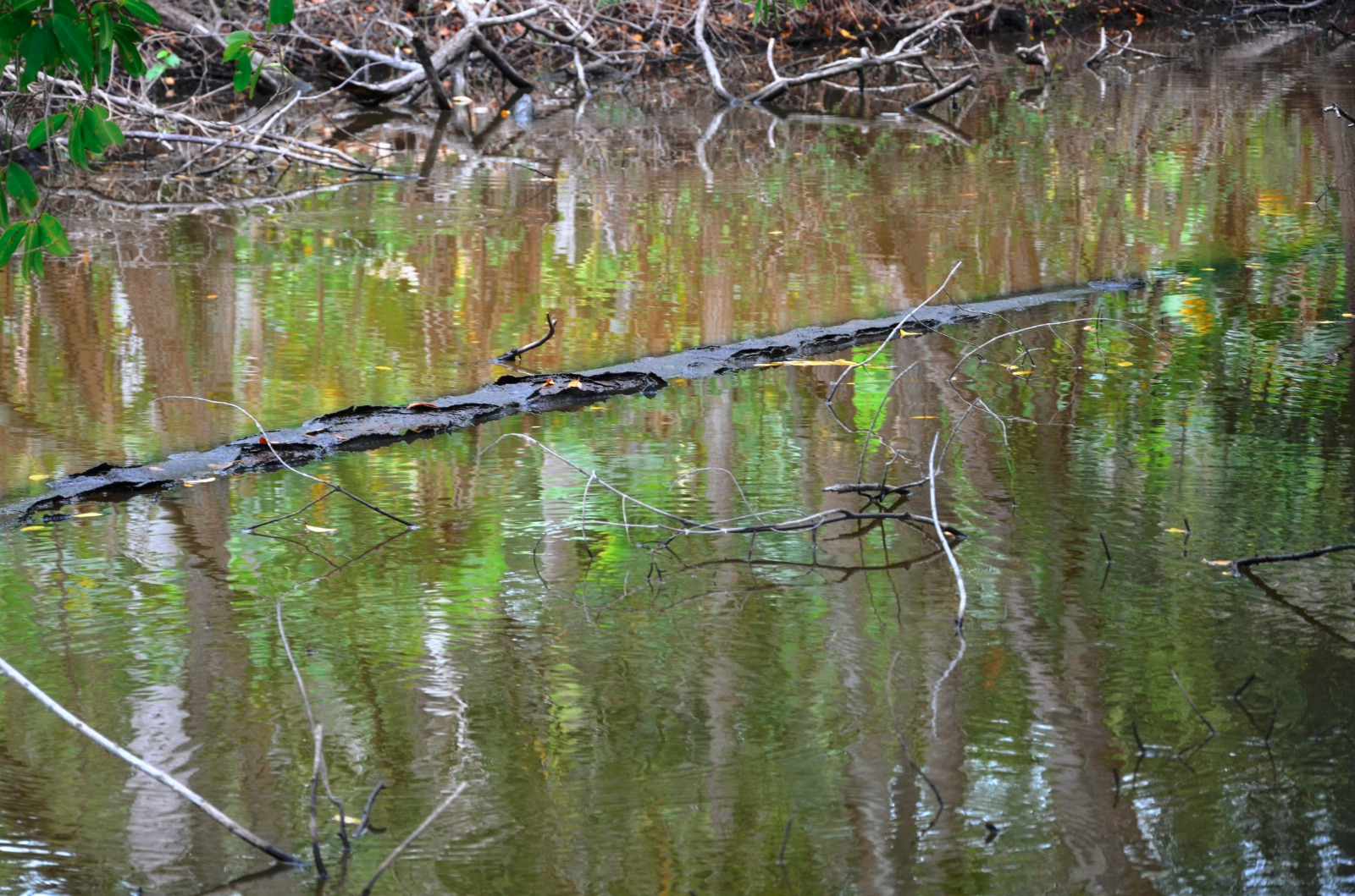 Fuga de gas de Pemex en Atasta
