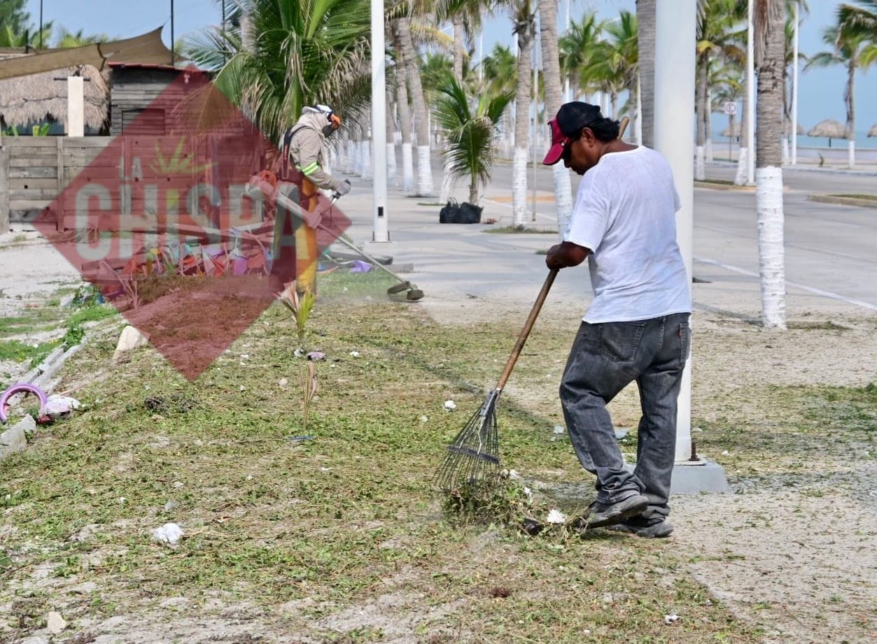 Denuncian irregularidades de coordinadores y directores del Ayuntamiento del Carmen contra trabajadores