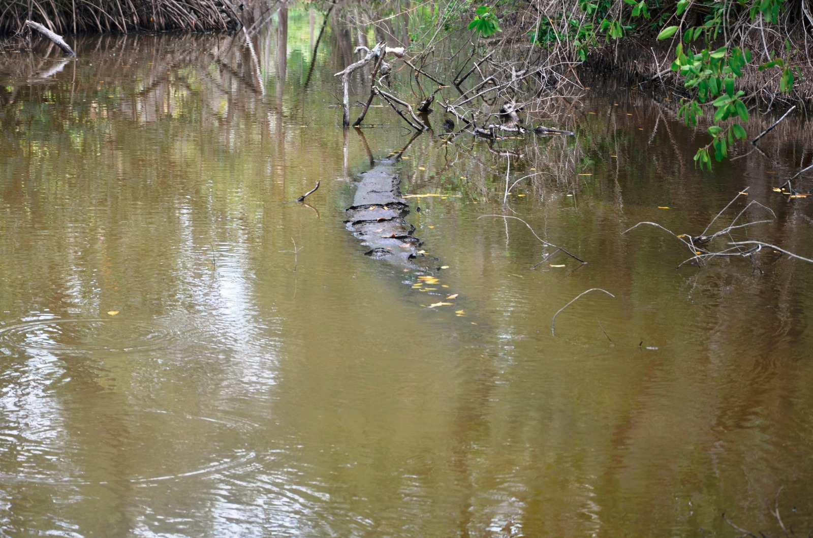 PEMEX incumple a pobladores de Atasta