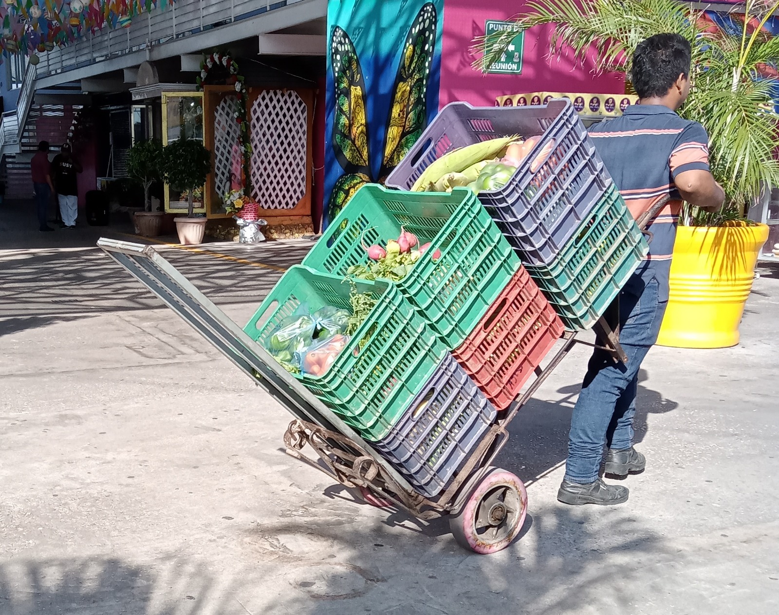 La economía en Ciudad del Carmen, se encuentra tronada