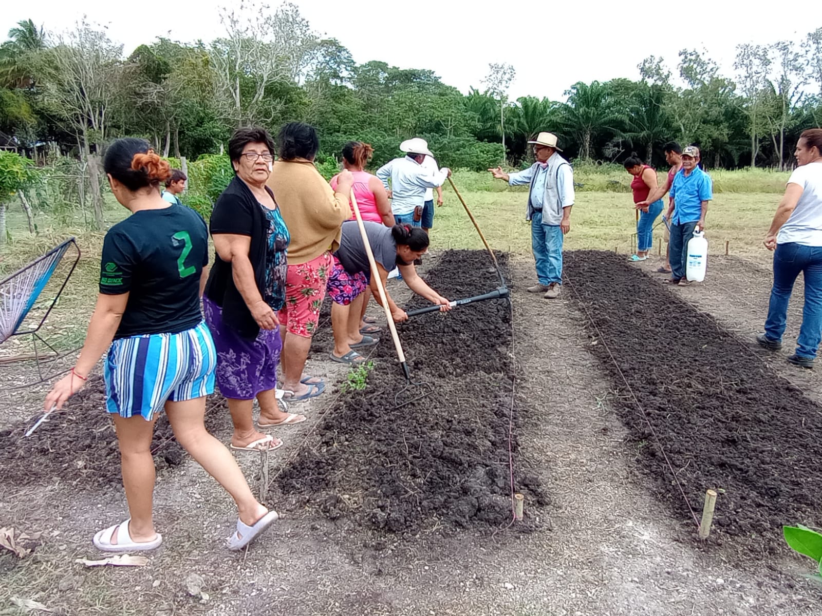 Se han beneficiado a 492 productores de campo en el municipio del Carmen