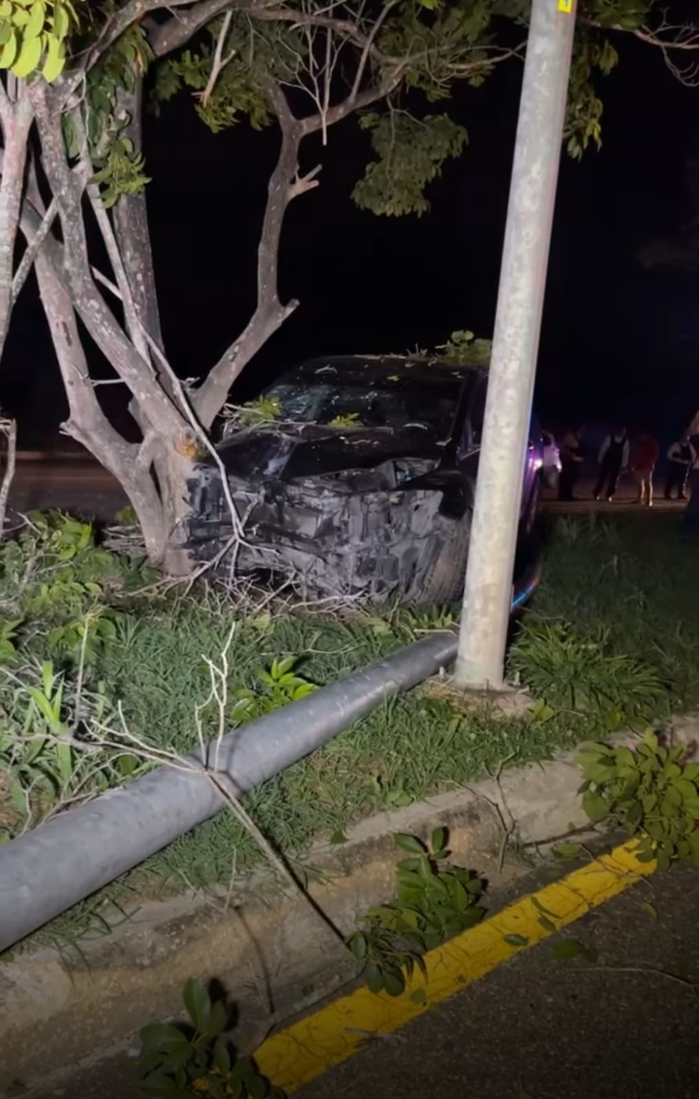 Conductor genera cuantiosos daños