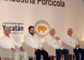 Industria porcícola de Yucatán va por certificación global de sustentabilidad