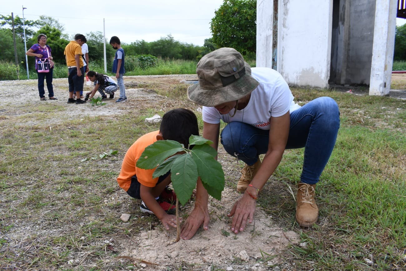 Alcaldía plantó 250 nuevos arbolitos