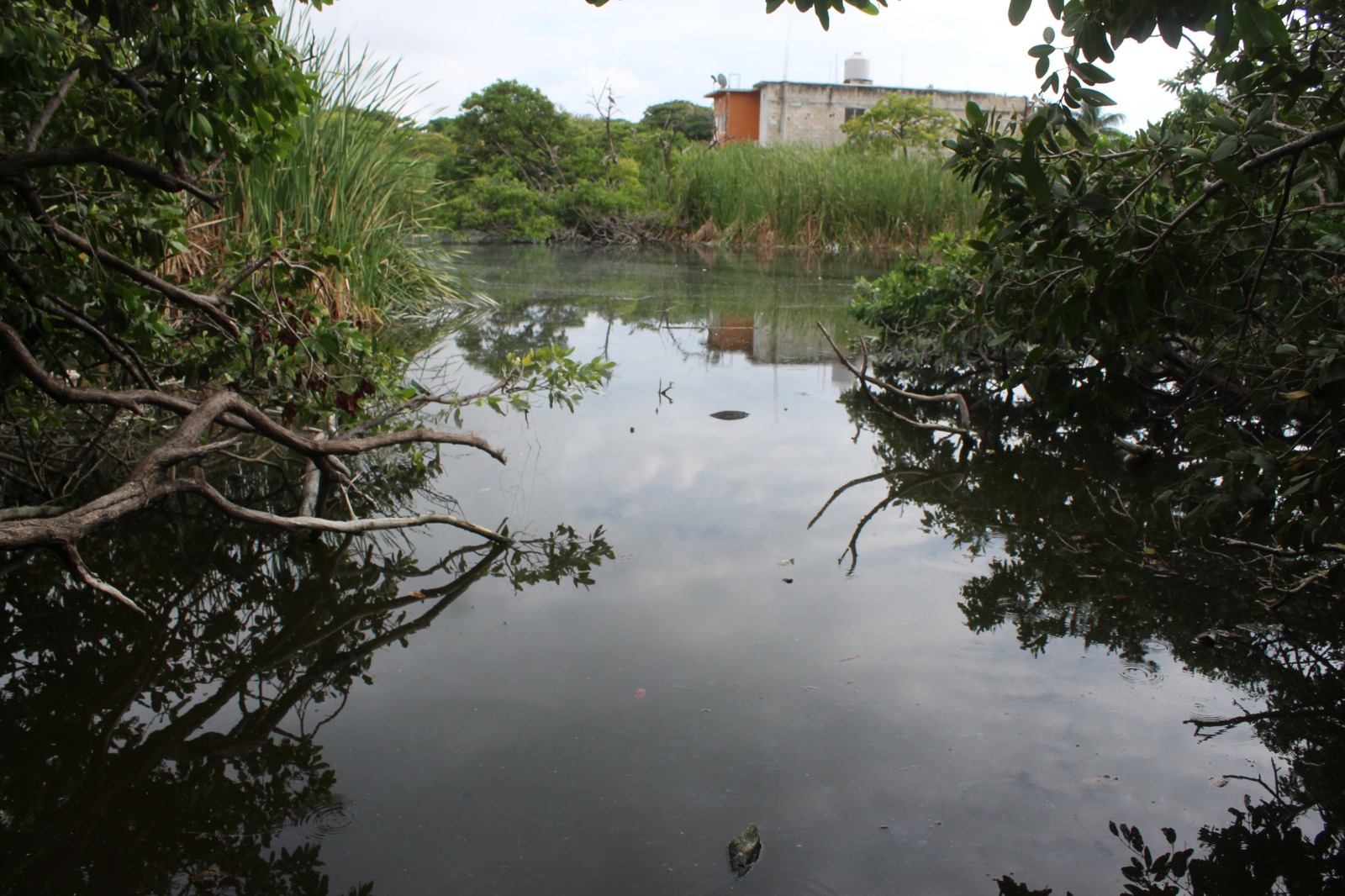 Vecinos acaban con la Laguna de Guadalupe: En Ciudad del Carmen