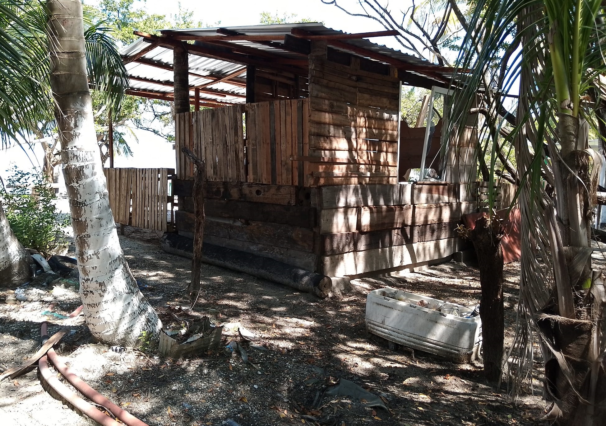 Invasores impactan áreas de manglares en la zona de Zacatal, Península de Atasta