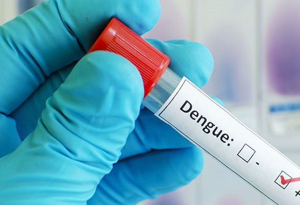 Existen 141 casos de dengue confirmados en los municipios de Carmen y Palizada en la semana epidemiológica 44