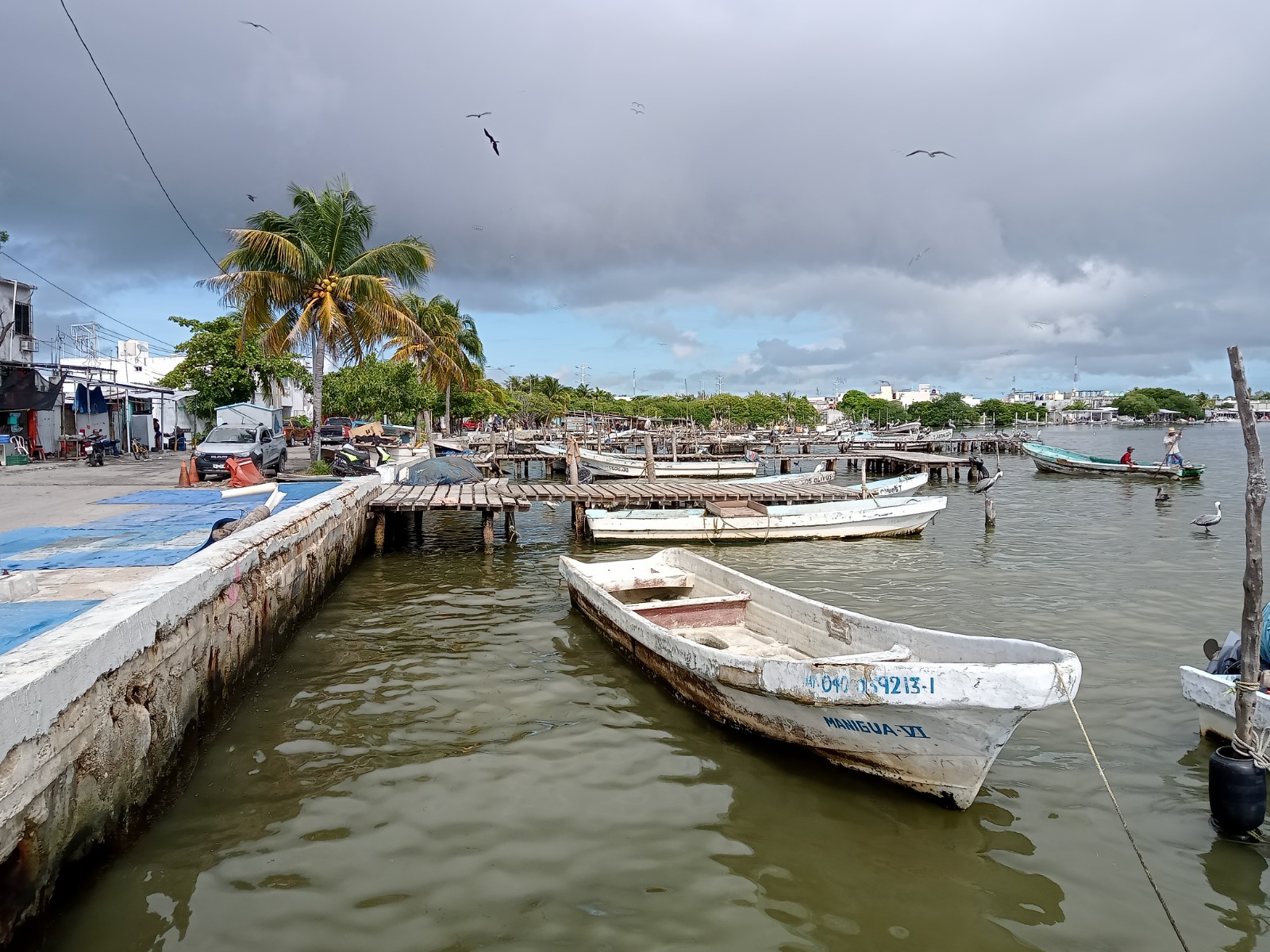 Necesario desazolve de Arroyo Grande: En Ciudad del Carmen