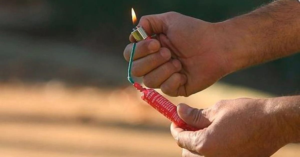 La quema de pirotecnia daña el sentido auditivo de las mascotas