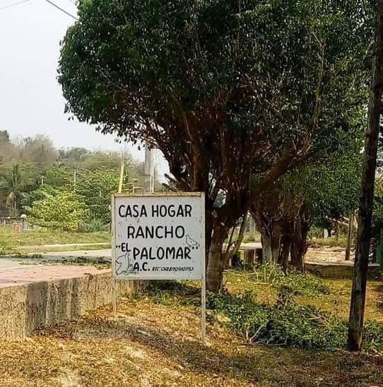 Dos implicados en violación