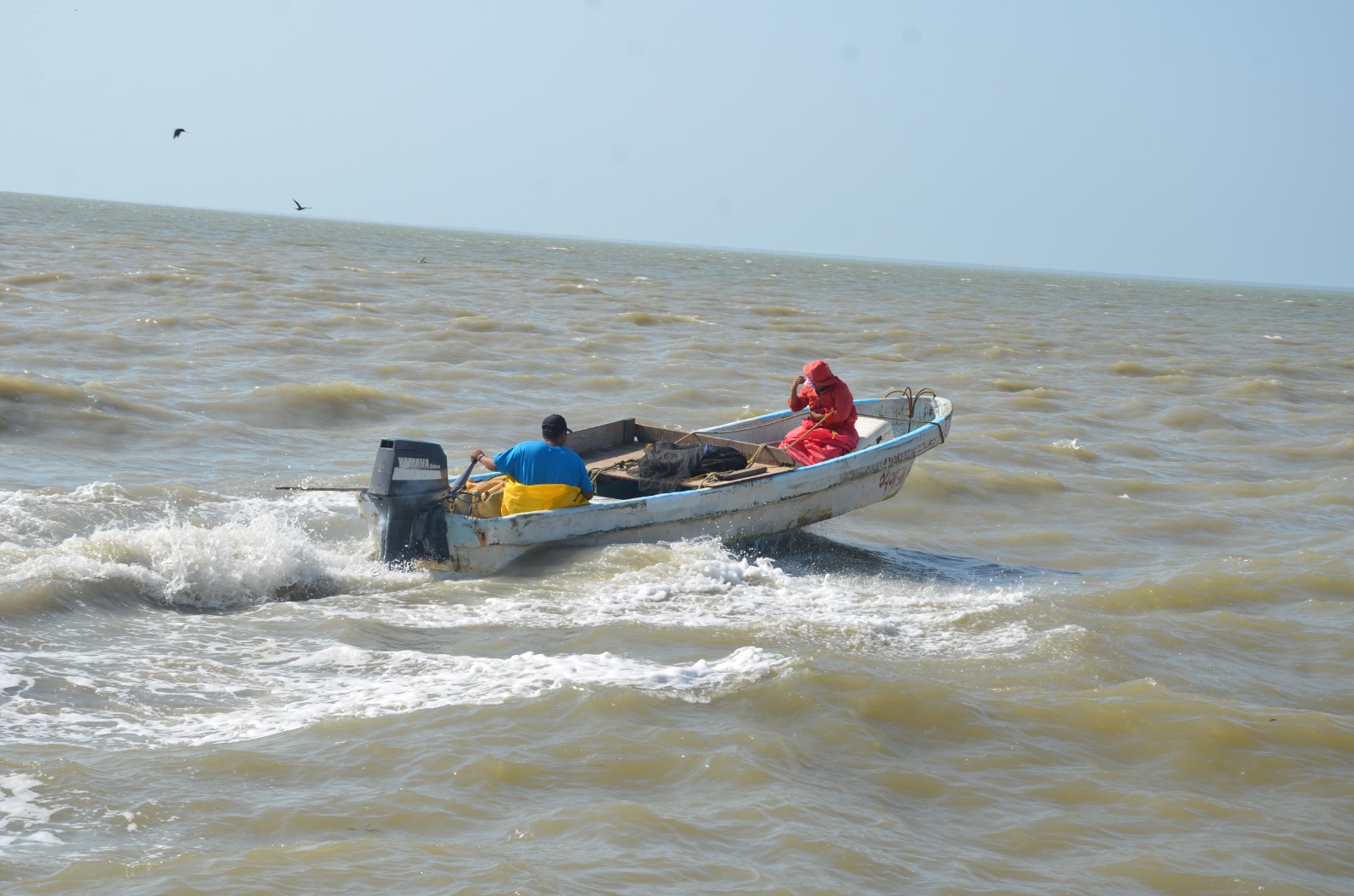 Intermediarios pagan por parcialidades la producción de camarón a pescadores de Ciudad del Carmen
