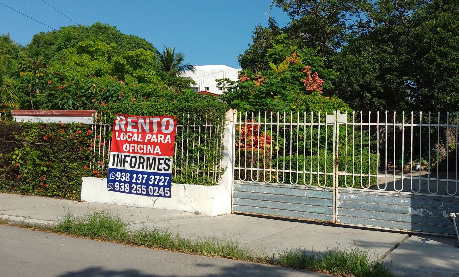 PROFECO debe regular el costo de renta y venta de propiedades en Ciudad del Carmen