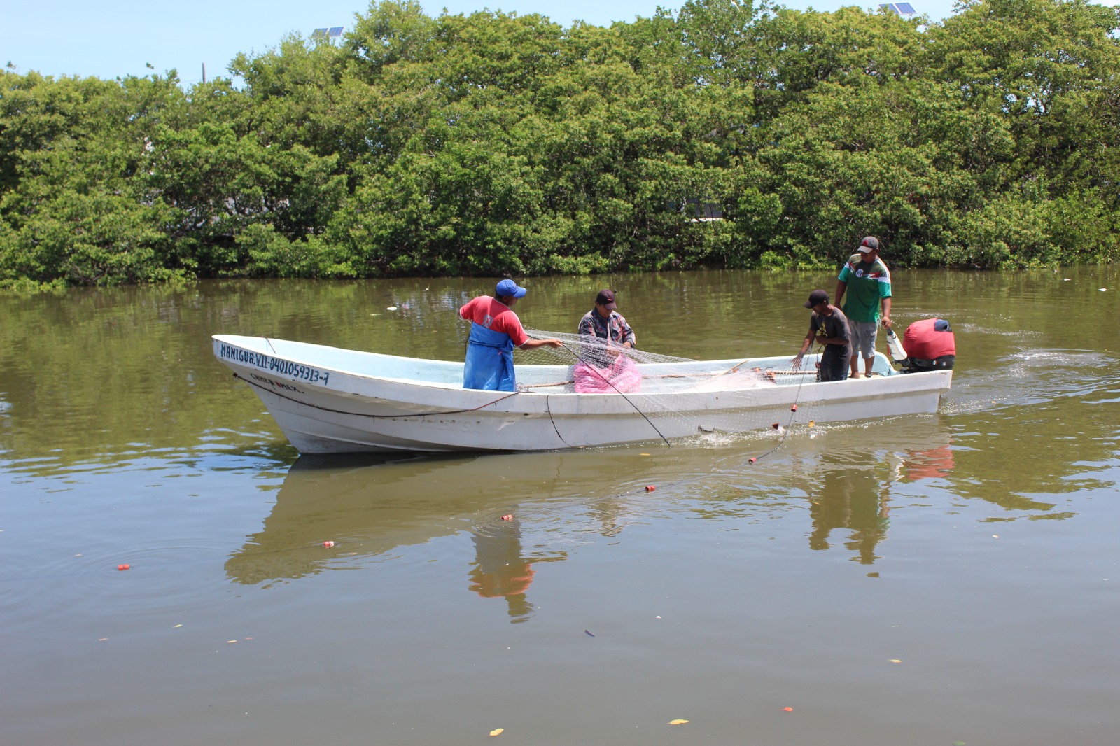 Vigilancia en la Laguna de Términos evitaría la depredación de especies marinas