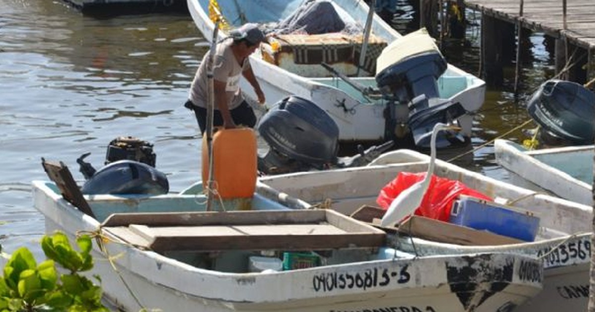 Tiempos electorales generan incertidumbre en el sector pesquero