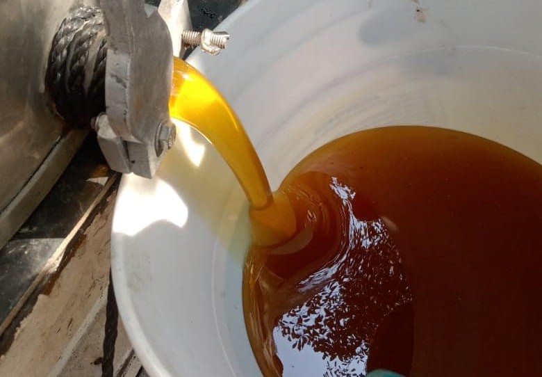 En el municipio de Carmen se produce miel de calidad