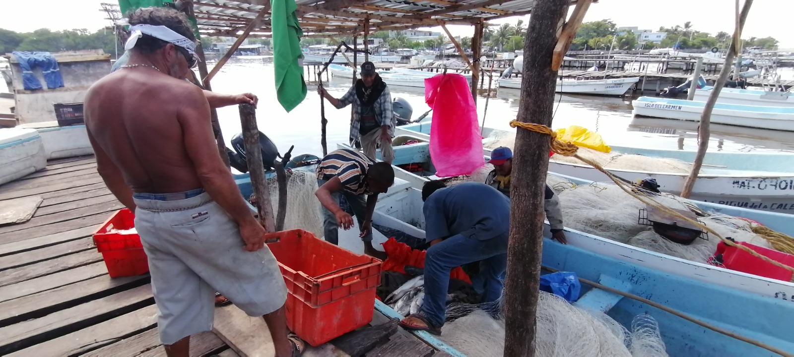 Frentes fríos afectan a la pesca ribereña