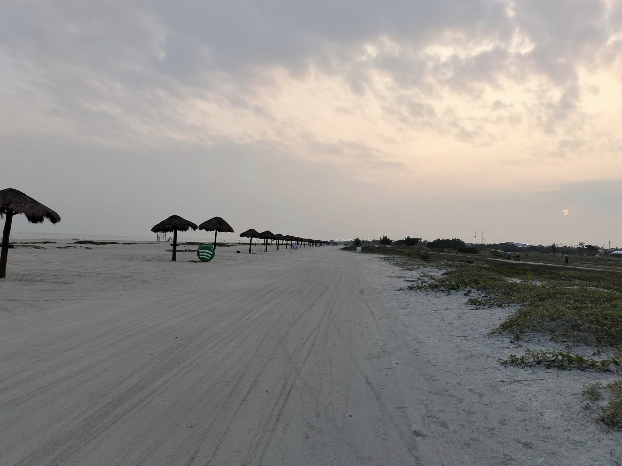 CONANP otorgó dos permisos para campamentos tortugueros en Playa Norte