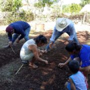 SDA y UNTA trabajan para reactivar el campo