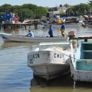 Pago del programa de veda y aja captura sería hasta el mes de mayo