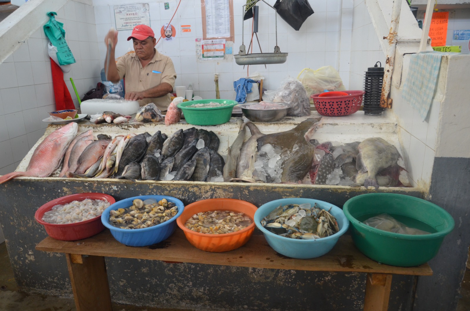 Para la Semana Santa aumentan ventas de pescados y mariscos