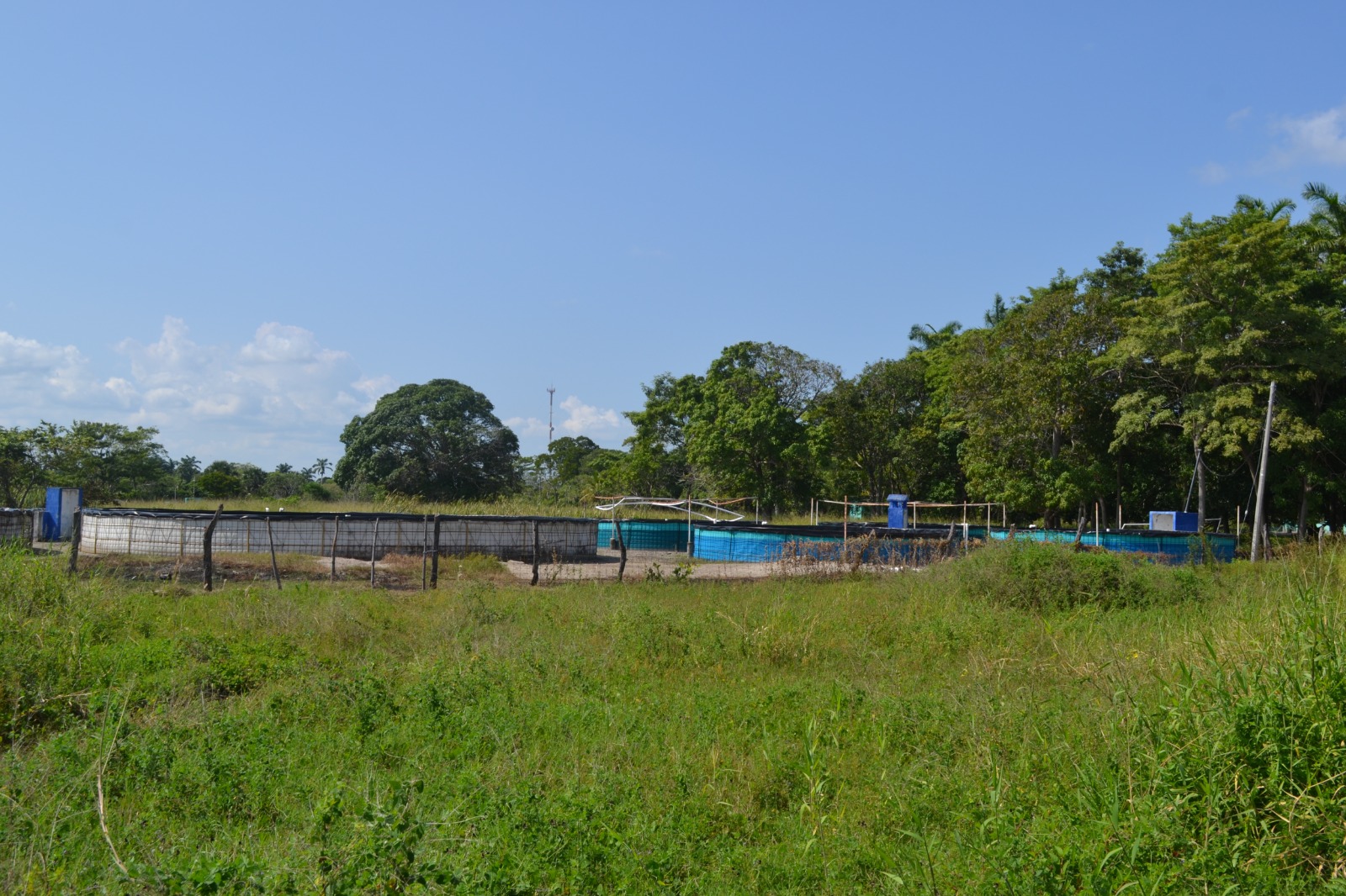 Proyecto de acuacultura de nueve cooperativas tiene un 90% de avance