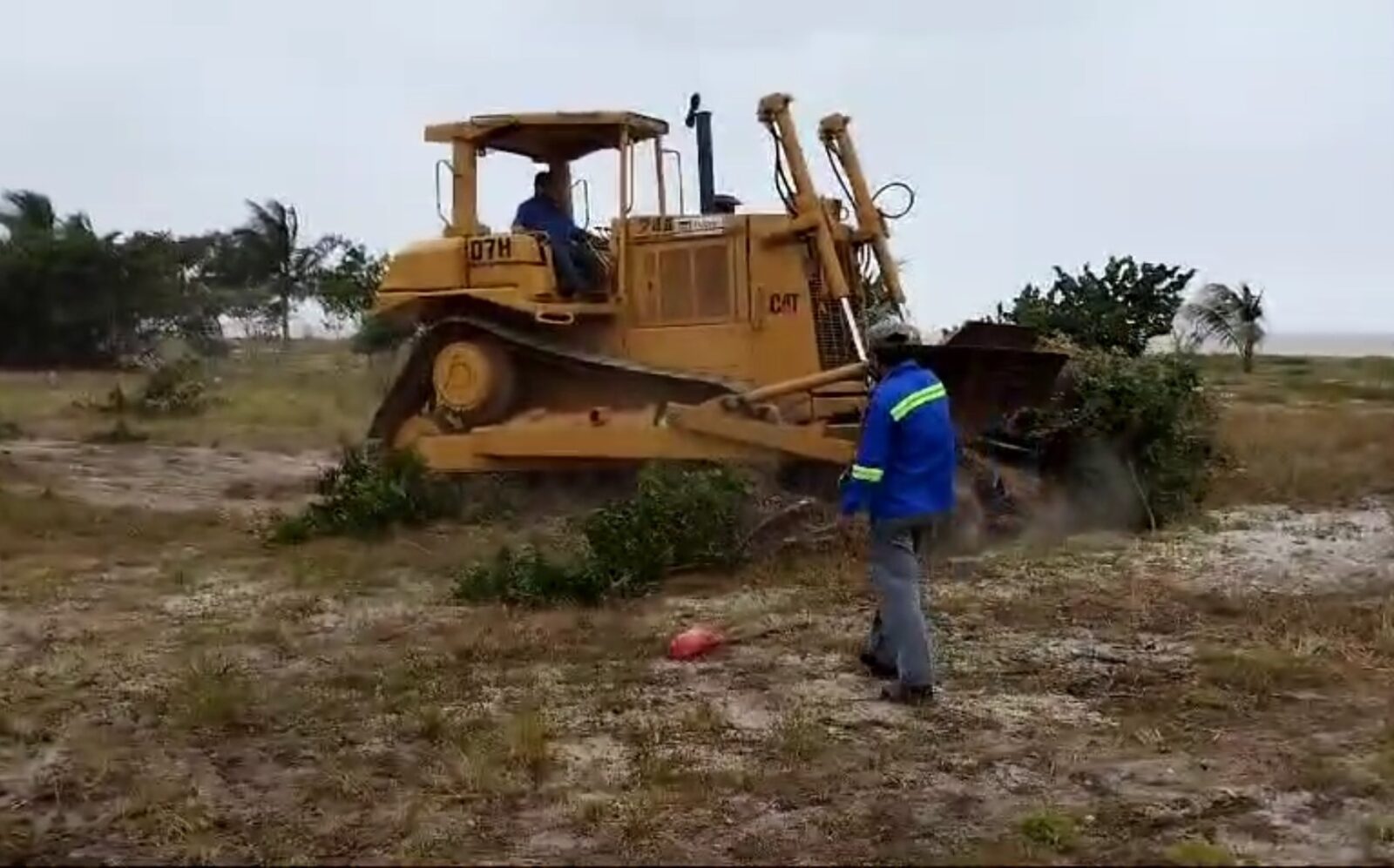 Grupo Rubio causa daño irreversible al medio ambiente