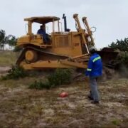 Grupo Rubio causa daño irreversible al medio ambiente