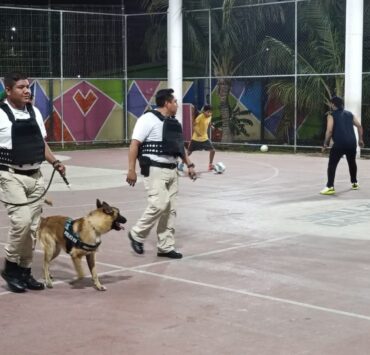 No se ha descuidado la seguridad en la Isla del Carmen