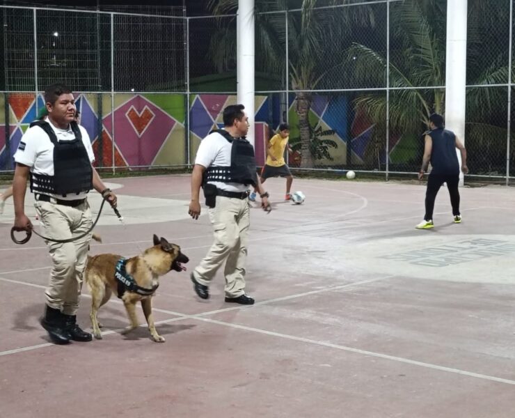 No se ha descuidado la seguridad en la Isla del Carmen