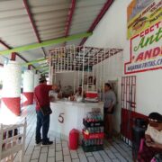 Dejan sin licuadora a panuchería