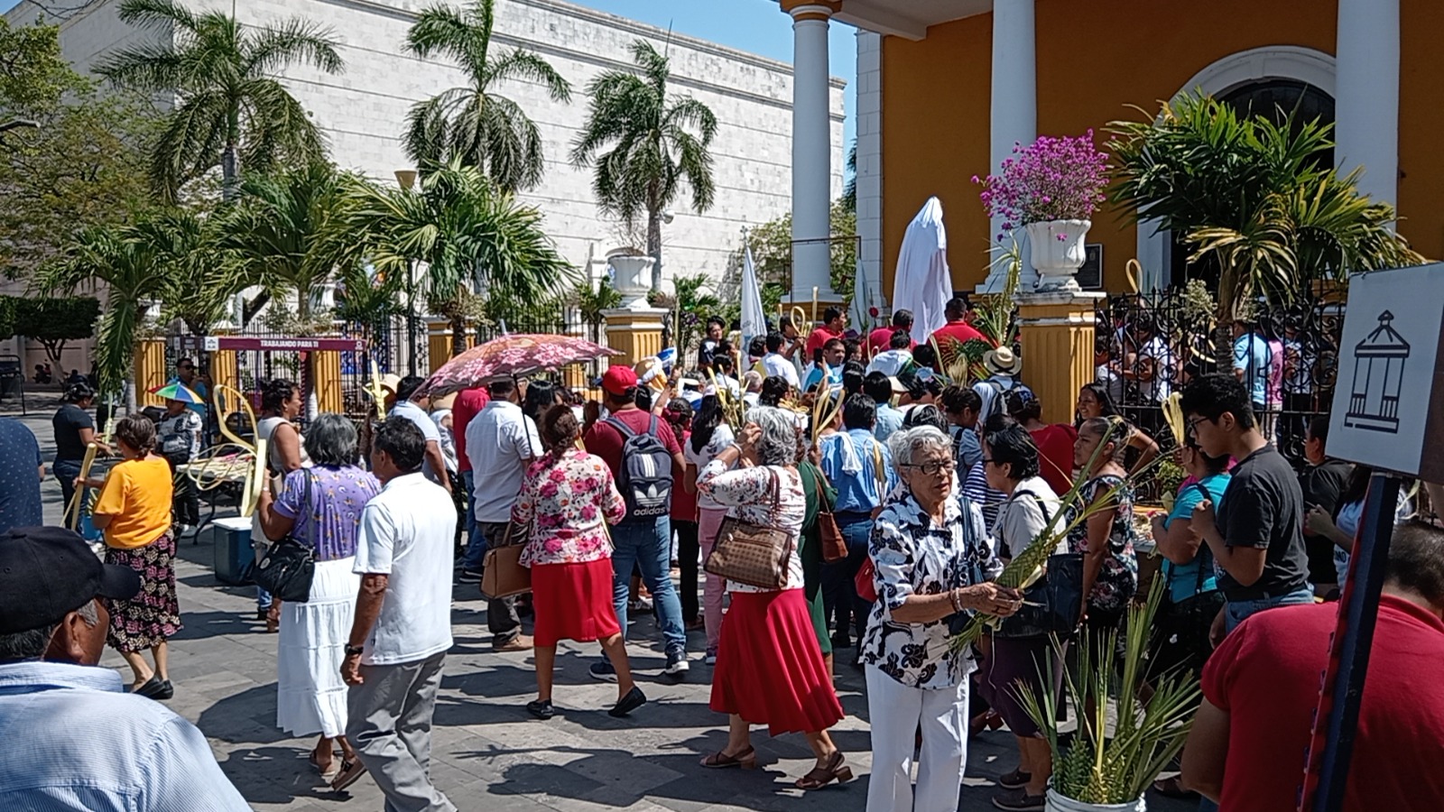 Católicos carmelitas celebran el Domingo de Ramos