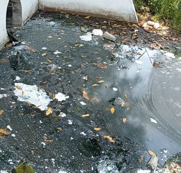 Contaminación acaba con los arroyos