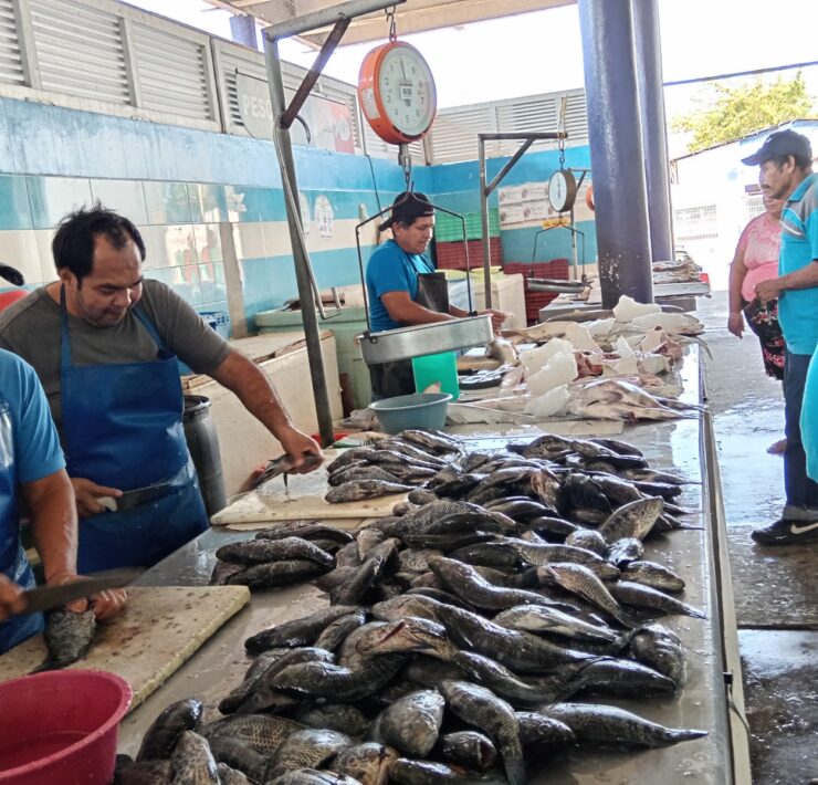 La Copriscam realiza verificación sensorial en pescados y mariscos