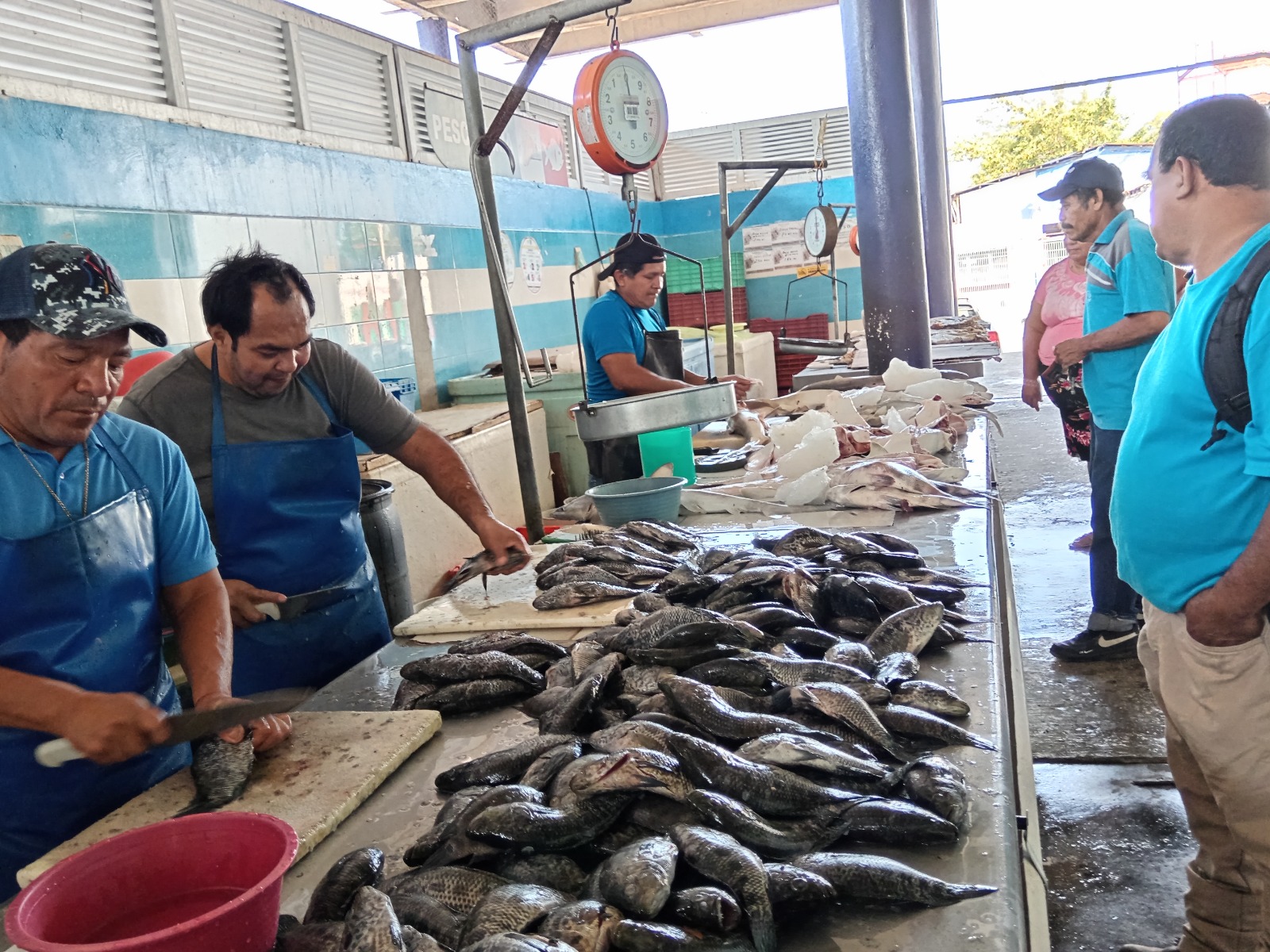 La Copriscam realiza verificación sensorial en pescados y mariscos