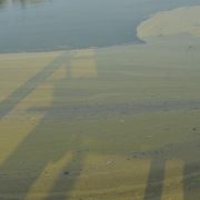 Centro de Proceso de Gas Atasta contamina los cuerpos de agua