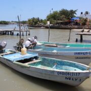 Sector pesquero ribereño podría desaparecer