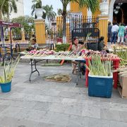 Artesanos comercializaron figuras de palmas en este Domingo de Ramos