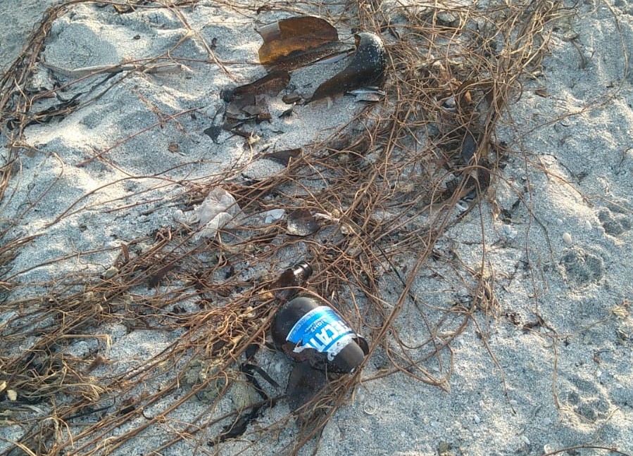 Gente inconsciente deja basura en las playas