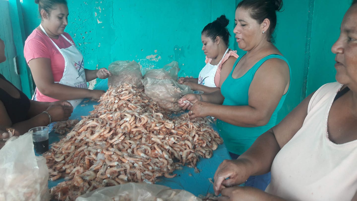 Veda de camarón afecta a mujeres que realizan el proceso del producto