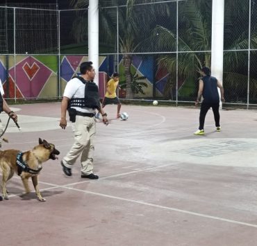 Saldo blanco en la primera semana de vacaciones