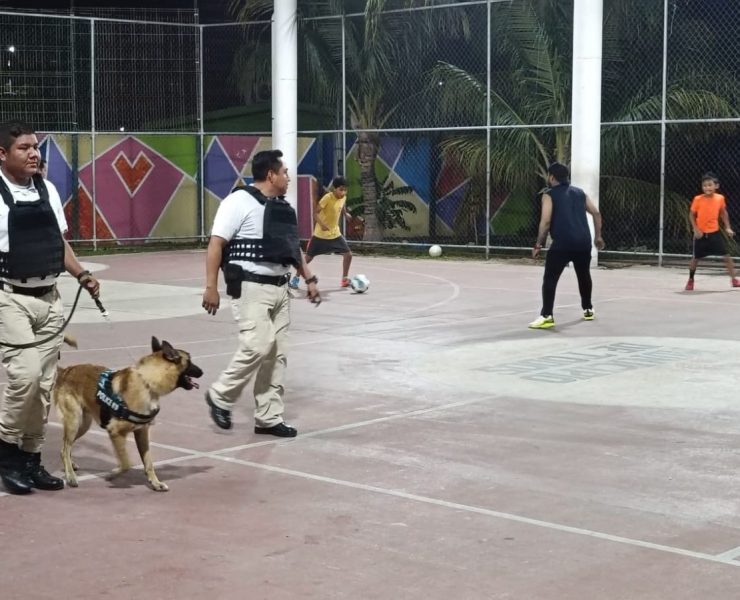 Saldo blanco en la primera semana de vacaciones