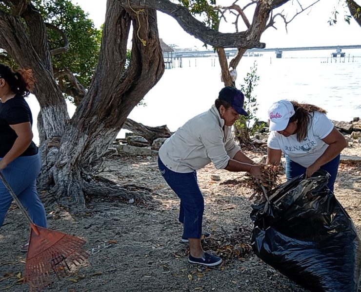 Ambientalistas limpian Playita del Guanal