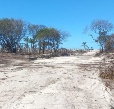 Duele ver lo que le pasa a la madre tierra